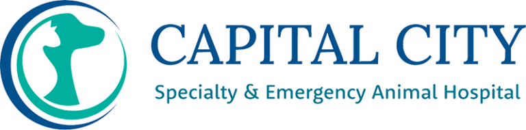 capital-city-specialty-logo