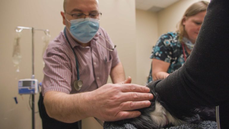 Kanata_Lakes_Animal_Clinic_Snapshot_04(1)